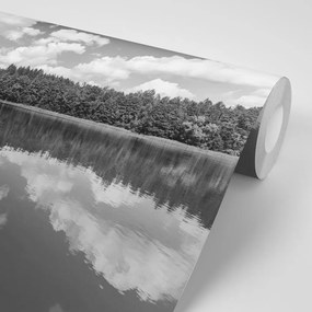 Самозалепващ фототапет – Черно-бяло езеро през лятото