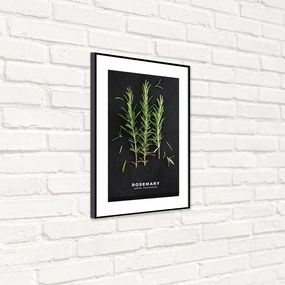 Картина 50x70 cm Rosemary – Styler