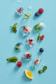 Форма за лед с капак Lekue 1009042, 22х11х2.3 см, 11 Делфина, -40 +60°C, Син