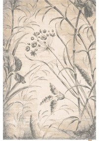 Кремав вълнен килим 200x300 cm Botany – Agnella