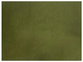 Хартиена подложка за хранене 33x44см зелена (TVN00 V)-ПАКЕТ 250бр LUNI PAPER - Horecano