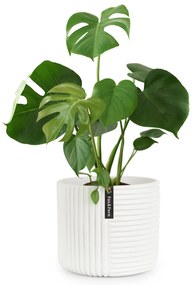 Fox & Fern Саксия Hasselt от полистоун, ръчна изработка, подходяща за растения в 3D вид.
