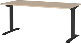 Работна маса с електрическо регулиране на височината с дъбов декор 80x160 cm – Germania