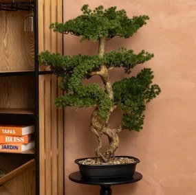 Изкуствено растение atmosphera Polin Bonsai, 86 cm