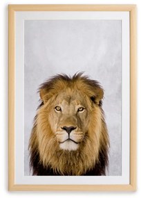 Картина за стена в рамка , 30 x 40 cm Lion - Surdic