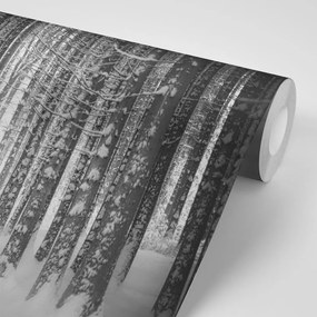 Фототапет – Черно-бяла гора покрита със сняг