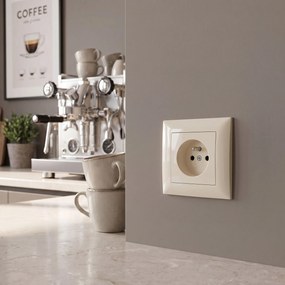 Единичен контакт със заземяване и рамка OSTE JNH001-G Beige