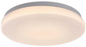 Rabalux 77133-LED Плафон LOWAR за баня LED/12W/230V IP44 3000/4000/6000K