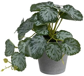 Изкуствено растение (височина 21,5 cm) Saxifraga – Ixia