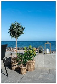 Изкуствено растение Skimmia - House Nordic