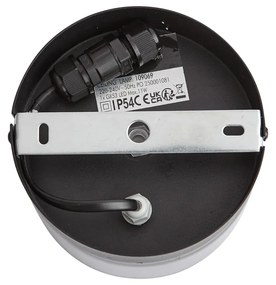 Модерна таванна лампа черна с димно стъкло - Puck