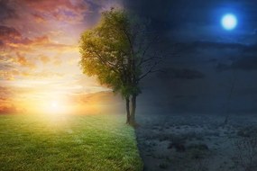 Самозалепващ тапет – Ден и нощ