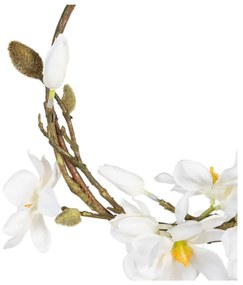 Венец Magnolia – Ixia