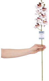 Изкуствени цветя в комплект от 10 бр. (височина 76 cm) Faleni – AmeliaHome