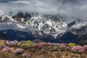 Картина на платно – Уникален планински пейзаж