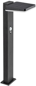 RABALUX 77079 Lasset, външна соларна лампа за под, LED4,4W, H50cm - 77079