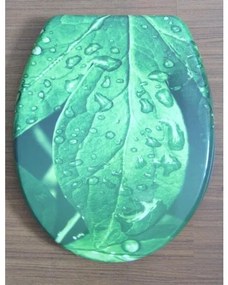 Тоалетна седалка ICST 791