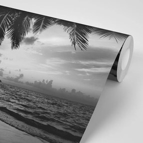 Фототапет – Черно-бяла карибска плаж