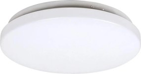 Rabalux 3338 - LED плафон ROB LED/20W/230V