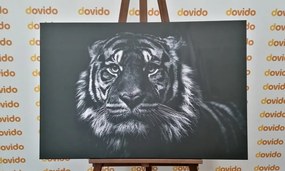 Картина на платно – Тигър в черно-бял вариант