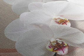 Картина на платно – Бяла орхидея на платно