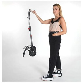 Пазарска чанта на колелца 43 l I-Max MF 2 Logic – Rolser