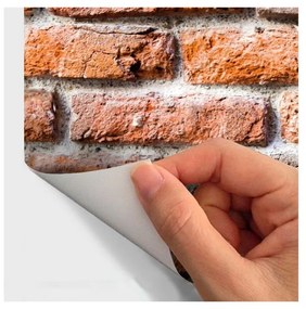 Стикер за стена Woodstock, 60 x 60 cm - Ambiance