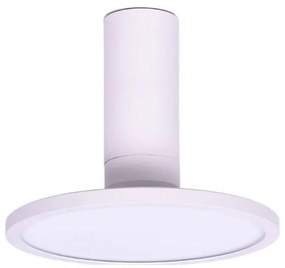 Rabalux 71328 - LED таванно осветително тяло OVIDIA LED/20W/230V 3000K бяло