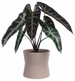 Керамична саксия за цветя ø 14 cm Diana – Artevasi