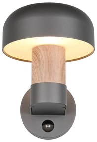 Стенно външно осветително тяло (височина 24,5 cm) Fraser – Trio