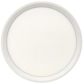 LED таванно осветително тяло LED/18W/230V 3000/4000/6500K Ø 23 см бяло
