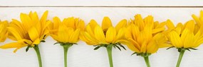 Картина на платно – Прекрасни жълти цветя