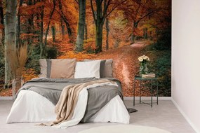 Самозалепващ фототапет – Гора през есента