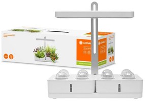 Ledvance - LED Интериорна лампа за растения GARDEN KIT LED/24W/230V