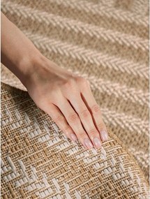 Кремав/в естествен цвят килим за открито и закрито 160x230 cm Haringey Woodfield – Ted Baker