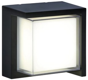 LED Екстериорен аплик ESSEN LED/12W/230V IP44 черен