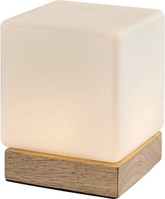 Rabalux Pirit Настолни лампи IP20 LED 1,2W 3000 76003