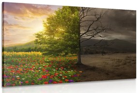 Картина на платно – Две форми на дърво