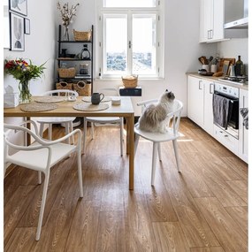 Комплект от 2 бели трапезни стола Chaur Dali - Bonami Selection