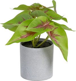 Изкуствено растение (височина 20 cm) Syngonium – Ixia