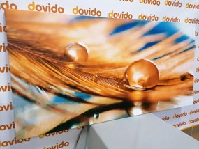 Картина на платно – Капка вода на златно перо