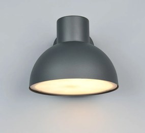 Стенно външно осветително тяло (височина 18,5 cm) Elbe – Trio