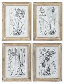 Картина DKD Home Decor Модерен Ботанически растения 30 x 2 x 40 cm (4 броя)