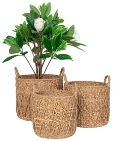 Кошници в комплект 3 бр. от морска трева ø 32x30 cm Krabi – House Nordic