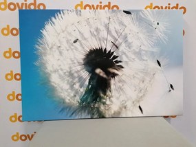 Картина на платно – Детайл от глухарче
