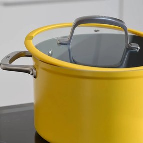 Гърне с капак/с керамично покритие подходящо за индукционен котлон 5,5 l Meda 3.0 – FABINI