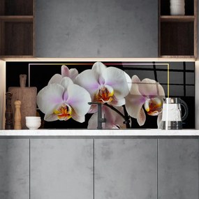 Стъклен гръб - Орхидеи в рамка