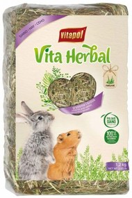 Timothy Hay Vitapol Vita
