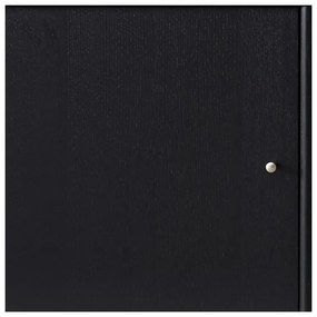 Черен скрин за телевизор Mistral 233 - Hammel Furniture