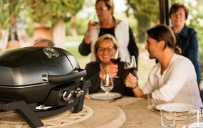 Преносимо Газово барбекю Napoleon TravelQ PRO285